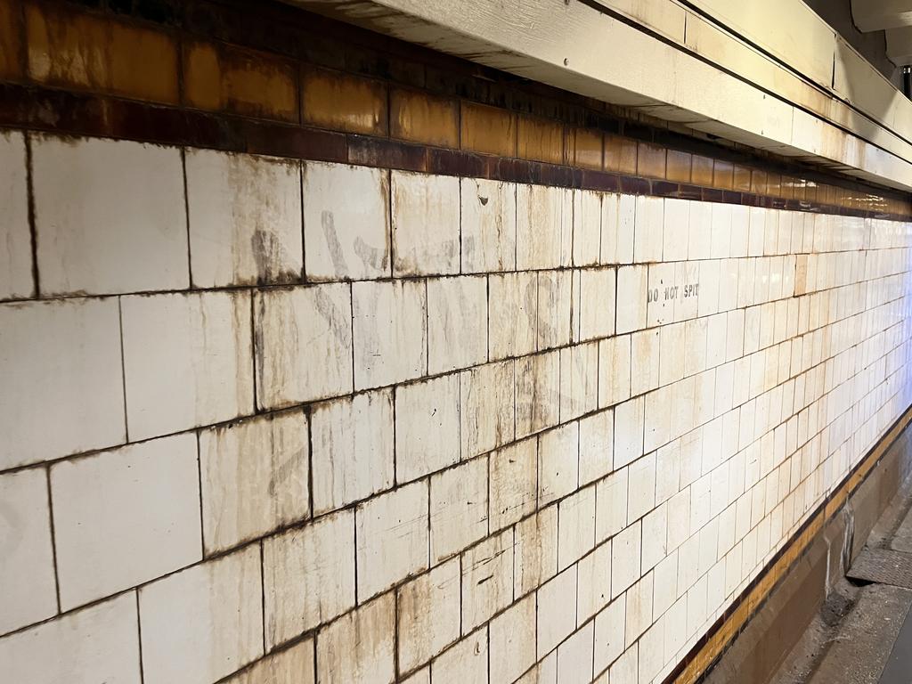 Brown stains seeping down the tiled walls. Picture: Grace Frost