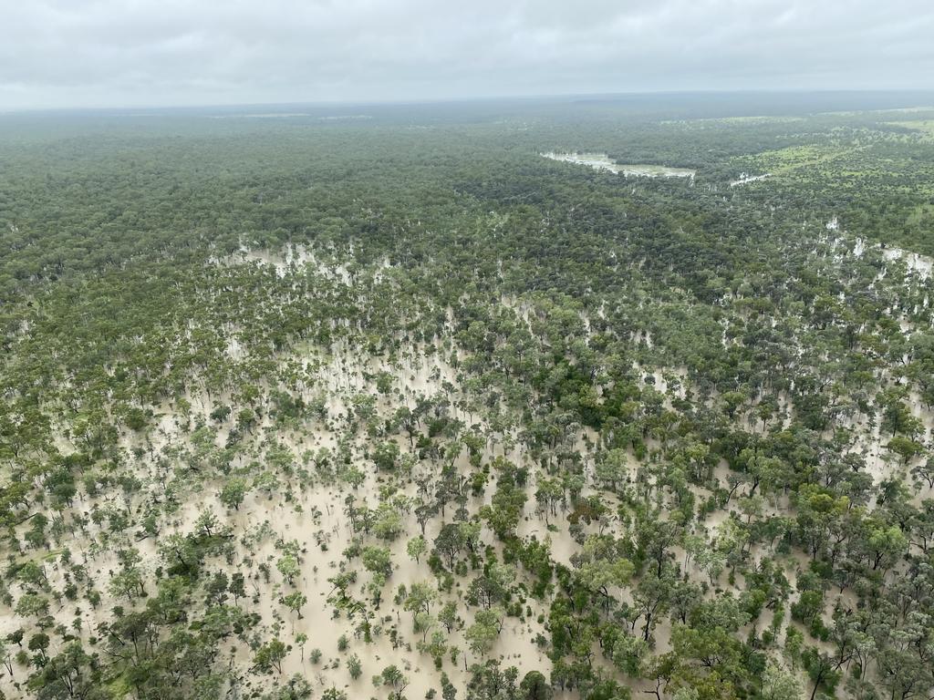 Helicopter pilot James Pleaotz took these shots of transformed cattle country on January 15 while he was checking and moving cattle in flood waters of the Belyando and Sutter Rivers. Picture: Contributed