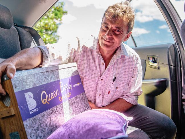 New service to help Queen Bees survive travel -  Beekeeper, David Briggs, carefully placing queen bee in the Queen Bee Chariot - Supplied