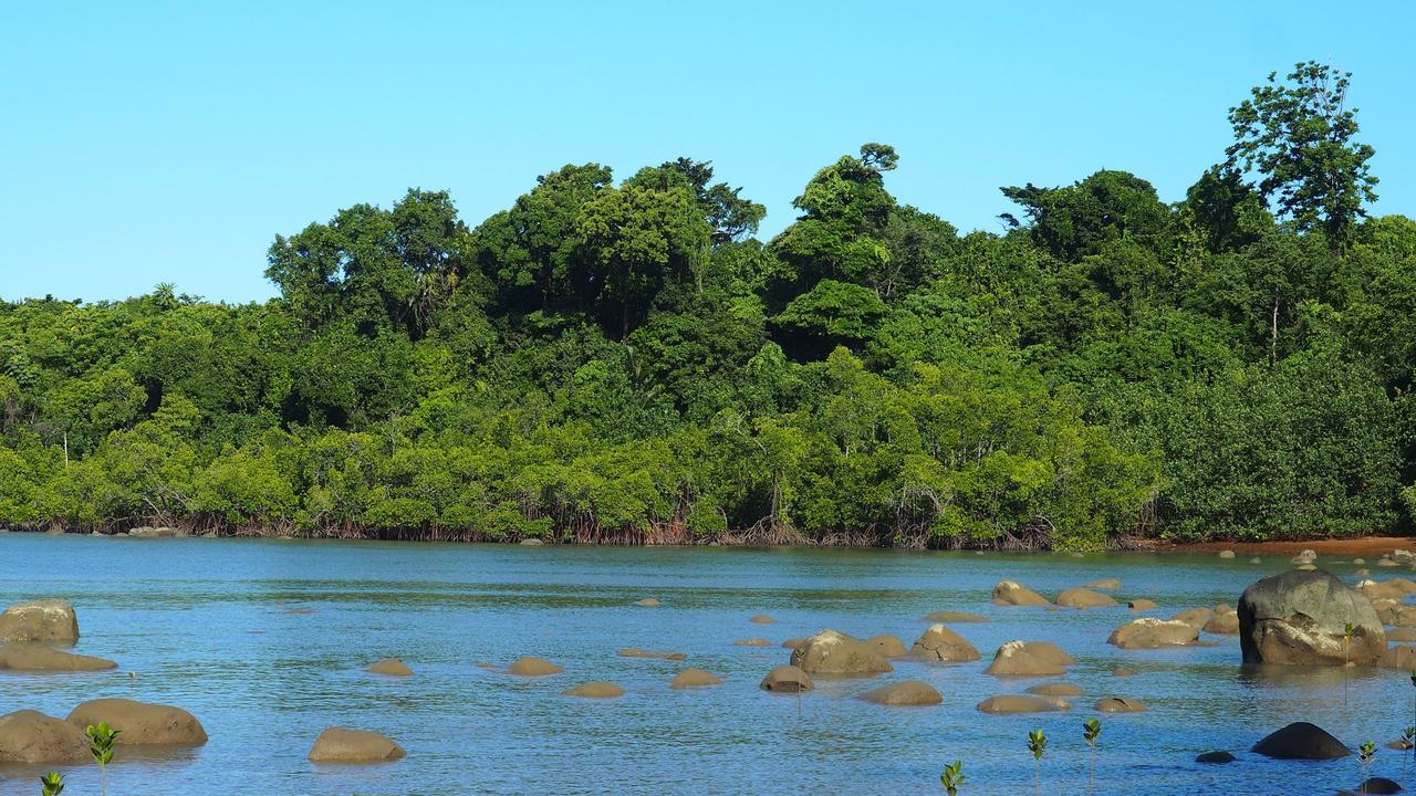 Littoral rain-forest at Mission Beach in Far North Queensland. Picture: Supplied