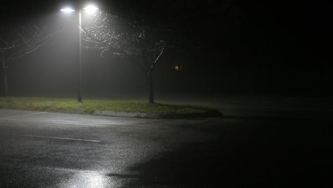 A banned mum drove to pick up her daughter from a park because the teenager was scared of the dark.