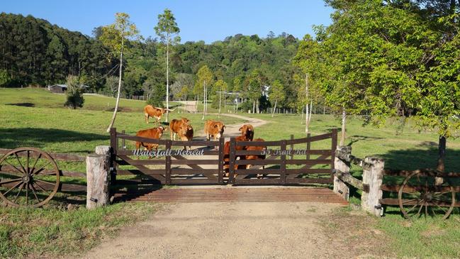 A lifestyle property an hour from Brisbane with Airbnb offerings too.