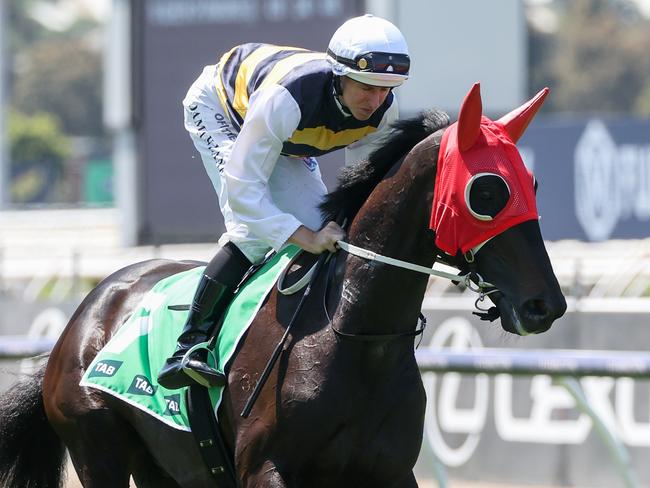 Queensland Derby Warmonger  is set for a Sydney campaign after a pleasing Geelong trial on Wednesday. Picture: Racing Photos via Getty Images.