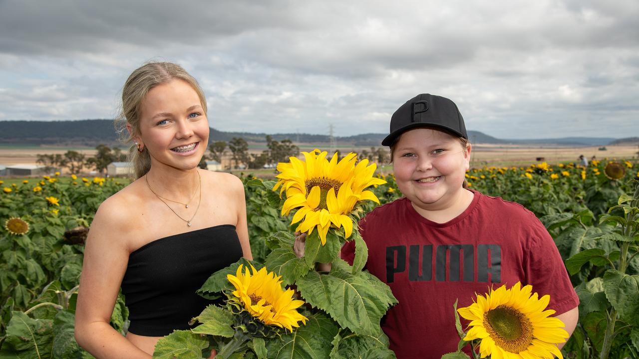 Sisters, Sienna (left) and Heidi Stockwell.Open day at Warraba Sunflowers, Cambooya. Saturday June 29th, 2024