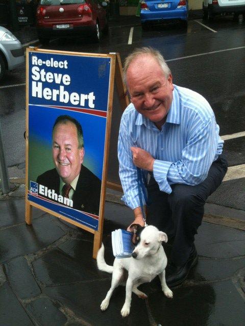 Then-Eltham MP Steve Herbert with his dog Patch.