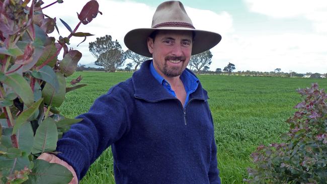 Blue no more: Karl Price has turned a former bluegum property at Cavendish, in Victoria’s Western District, back into pasture and crops. Picture: Kate Dowler