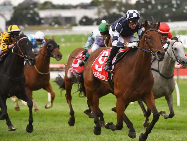 Zahspeed gets the better of his rivals at Sandown Lakeside earlier this month. Picture: Getty Images