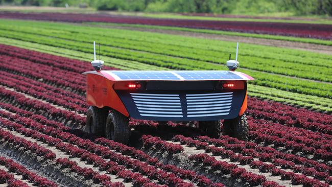 The ‘RIPPA' could make farming a lot easier. The machine has the capability to conduct surveillance, mapping, classification and detection of a variety of different vegetables.: Pics Supplied