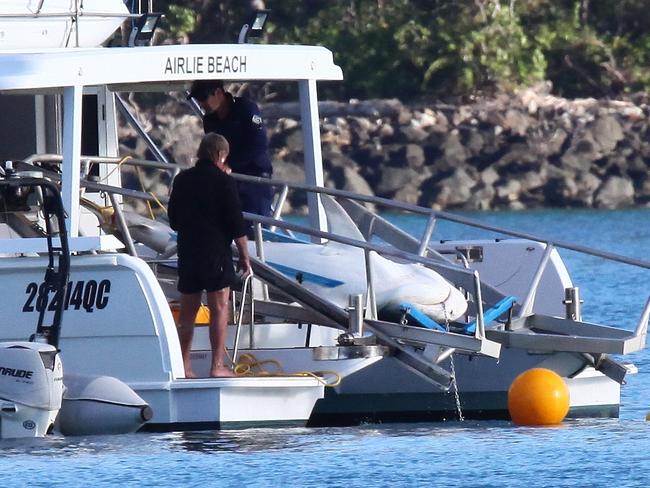 A shark caught in Cid Harbour. Picture: Mick Moonen