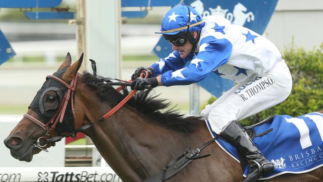 Coffs Harbour Gold Cup 2015: Trainer Ross Stitt Puts Faith In Shazza’s 