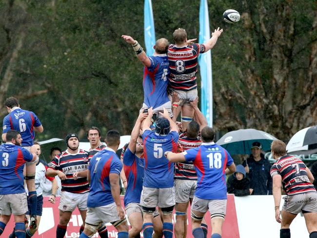 Easts take on Manly in the Shute Shield  at Woollahra Oval. Picture: Damian Shaw.