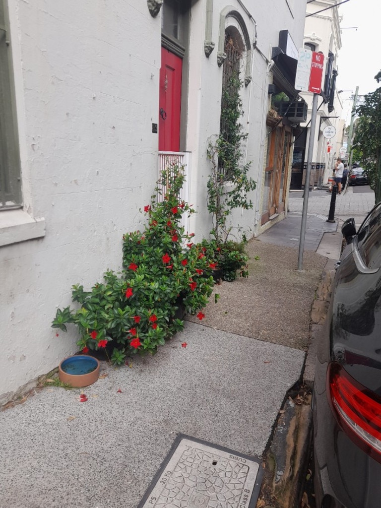 One resident was fined $635 for these plants.