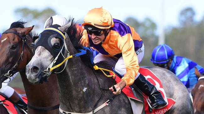 Lunar Light winning at the Sunshine Coast, ridden by Michael Rodd. Picture: Trackside Photography