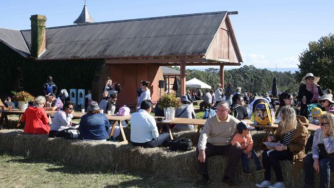 Guests relax while they sample the food at the harvest.