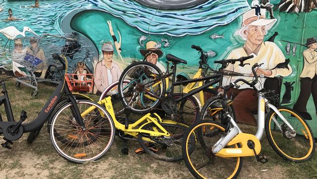 A number of bikes have been dumped near Curl Curl Lagoon.