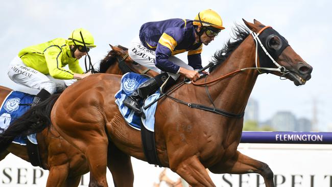 Wild Planet will be hard to beat at Caulfield. Picture: AAP