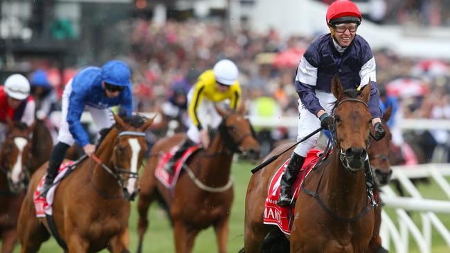 Kerrin McEvoy takes it all in after riding Almandin to victory in the Melbourne Cup.