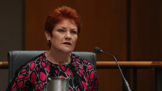 Senator Pauline Hanson. Picture: Kym Smith