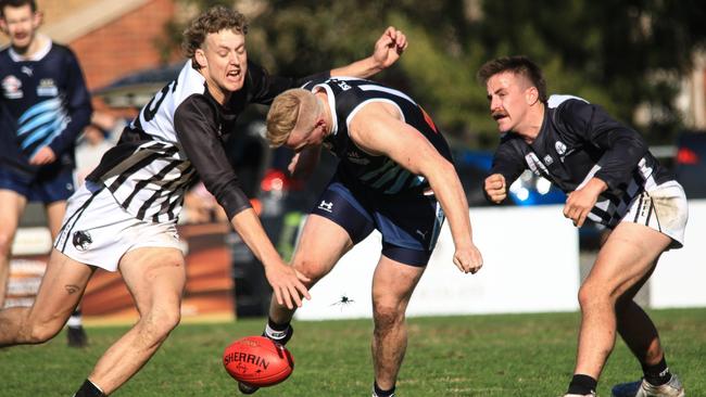 Surrey Park will play the winner of Sunday’s semi-final. Picture: Davis Harrigan