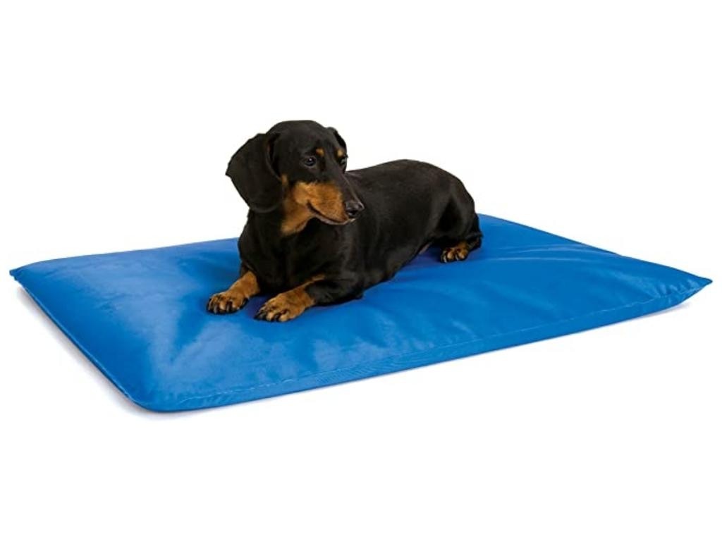 Get the Best Cooling Bed for Dogs