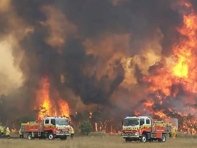 Firefighters are seen as they try to protect homes around Charmhaven, New South Wales. Picture: AP