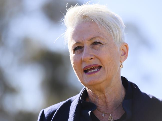 City of Sydney councillor Kerryn Phelps wants a moratorium placed on the loss of on-street parking in the inner city. Picture: AAP Image/Rohan Thomson