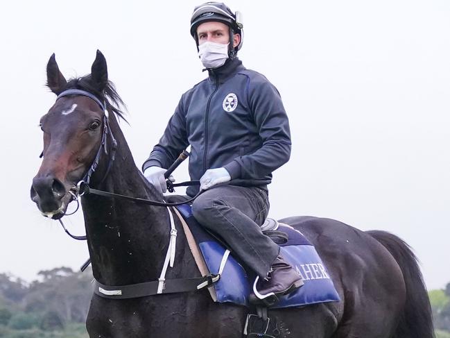 Sir Dragonet (IRE) ridden by James Winks during trackwork Ladbrokes Park Lakeside Racecourse on October 30, 2020 in Springvale, Australia. (Scott Barbour/Racing Photos via Getty Images)