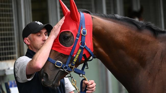 Nick Ryan with Derby contender Red Aces at his Flemington stables. Picture: Vince Caligiuri/Getty Images