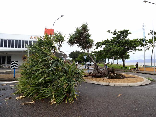 Townsville locals woke early to inspect the damage along The Strand left from TC Kirrily that hit overnight. Pics Adam Head