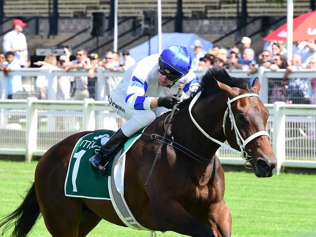 Jimmy Orman boots home the Chris Waller-trained Kovalica to win the Group 3 Grand Prix Stakes at Eagle Farm. Picture: Grant Peters - Trackside Photography.