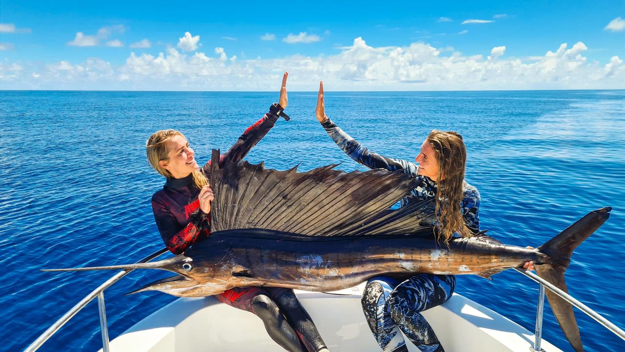 How to catch sailfish - Fishing World Australia