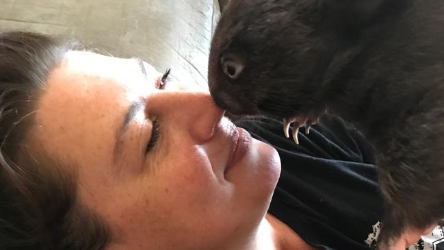 ACT volunteer Yolandi Vermaak works closely with wombats. Picture: Supplied