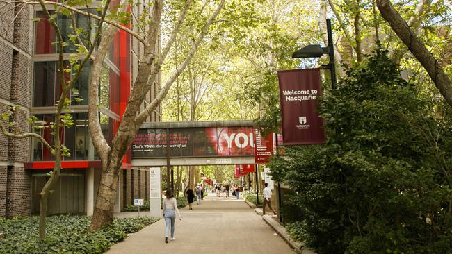 Professional social networking data shows Macquarie University business graduates getting better employment outcomes than in traditional university rankings. Photo: Tim Pascoe