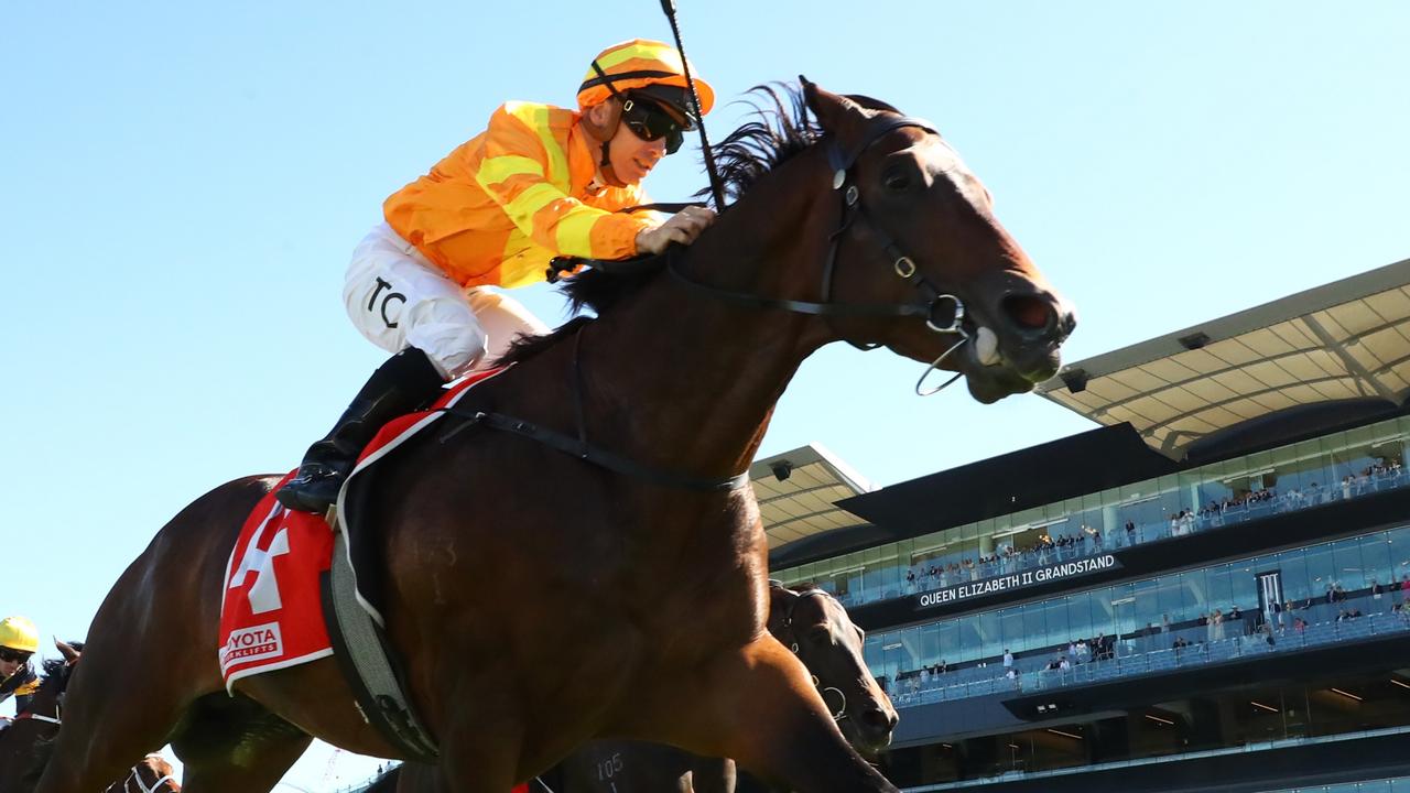 Bott has Spring in his step ahead of Queensland Guineas