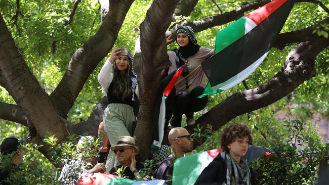 Pro-Palestine protesters in a tree at the rally outside the State Library of Victoria. Picture: Brendan Beckett