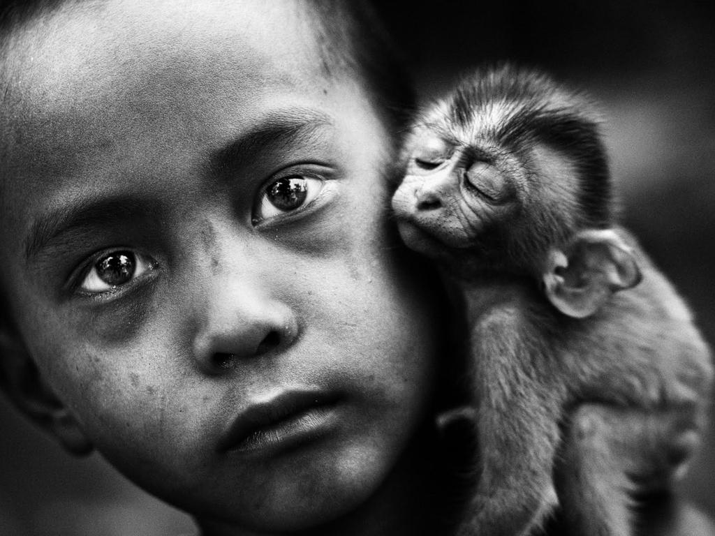 Friendship:Taken in an elephant camp named Pho Kyar. The boy is the son of the elephant trainer and he and the little mokey love each other.They came along with us when we took photos on the trip. Picture: Zaw Zaw Tun, 3rd place, Myanmar, National Award, 2015 Sony World Photography Awards