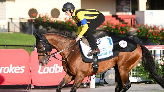 Damian Lane will have his hands full with Prognosis on Saturday. Picture: Vince Caligiuri/Getty Images