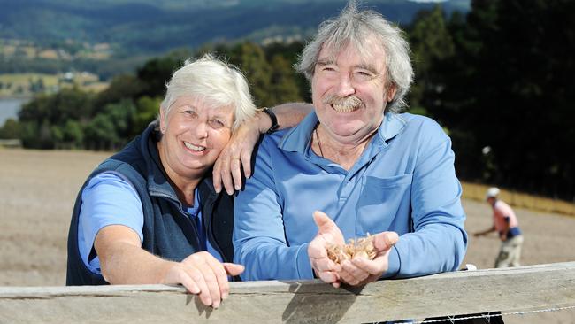 Flower power: Nicky Noonan of Tasmanian Saffron with husband Terry. Picture: Fiona Harding