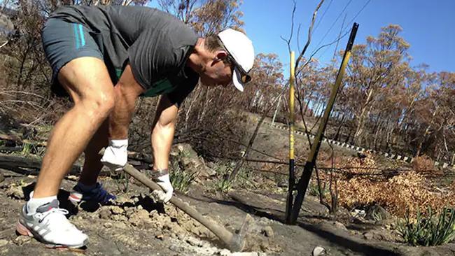 Former Hawthorn Coach Alastair Clarkson repairing fences during the bushfires.