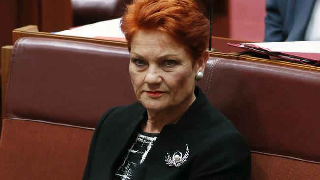 One Nation Leader Pauline Hanson. Picture: Gary Ramage