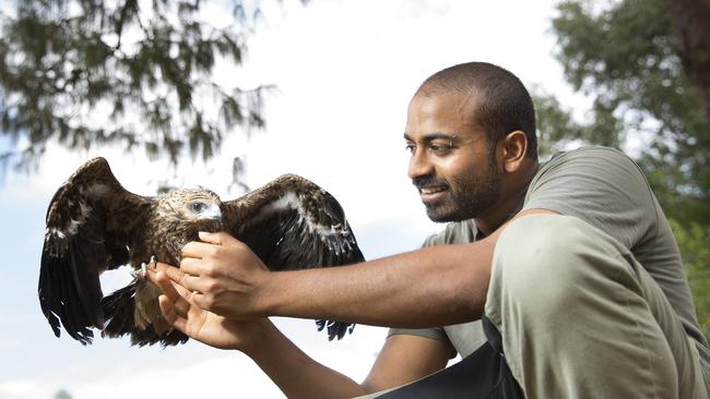 Feathered Friends is back with a new show at Mt Annan’s Australian ...