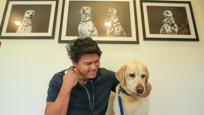 Opening November 16, the Gold Coast Walk In Vet provides low-urgency veterinary care after hours. with Dr John Truong and Angus The Happy Lab. Picture: Glenn Campbell