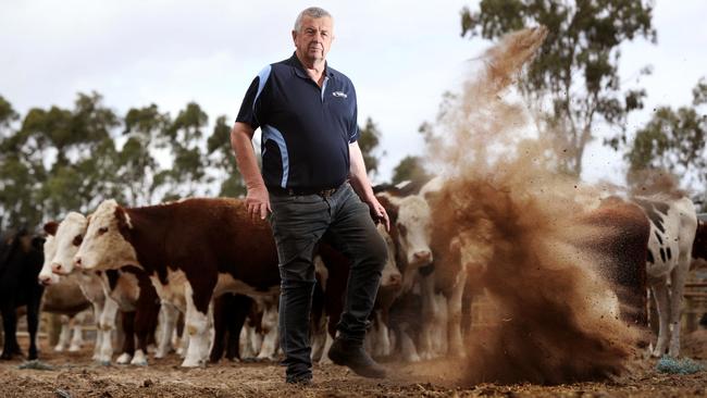 TAKING STOCK: Fleurieu Peninsula farmer Kym Endersby says the drought has forced him to prematurely sell his cattle due to the shortage of dry feed and hay. Picture: Tait Schmaal