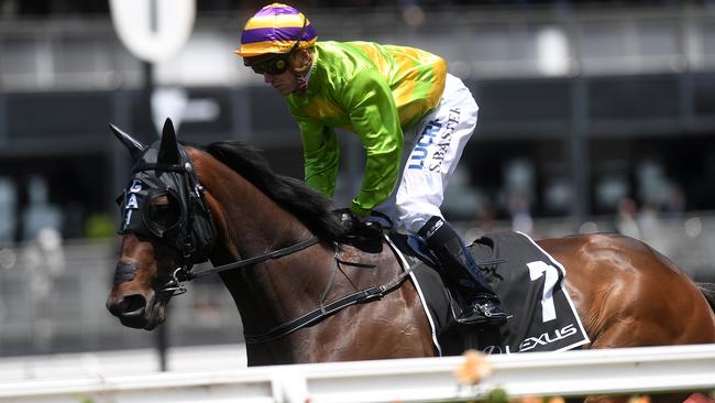 Can Cismontane become the first horse since shocking to complete the Lexus/Melbourne Cup double? The bookies have their doubts. Photo: AAP