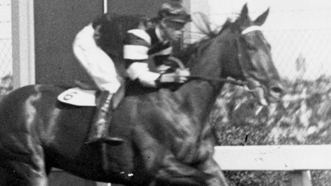 Phar Lap winning the 1930 Melbourne Cup.