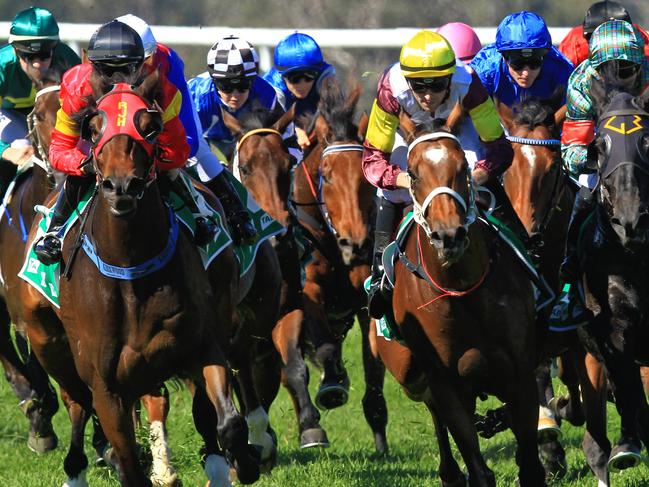 Loving home ridden by Tye Angland  (yellow cap, maroon with yellow armbands) wins race 1 during Scone  Races located in the Upper Hunter Region of NSW. The Bend . Pic Jenny Evans