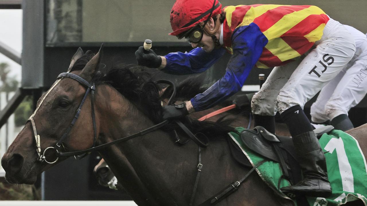 Eleven Eleven won The Warra and will head towards another Magic Millions carnival. Picture: Getty Images