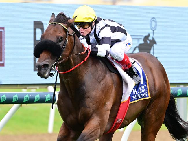 Barassi wins the rich Magic Millions Maidens Plate for trainers Trent and Toby Edmonds and jockey Craig Williams. Picture: Grant Peters, Trackside Photography.