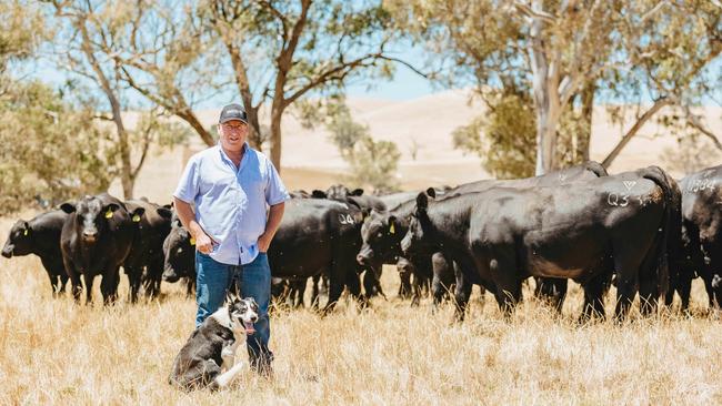 Lawsons Angus principal Harry Lawson. Picture: Chloe Smith