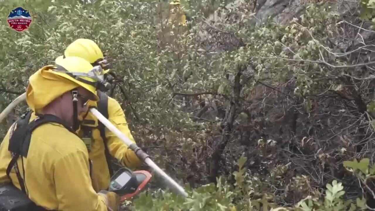 Hundreds of Goats Hired for Fire Prevention Grazing in South Denver Metro
